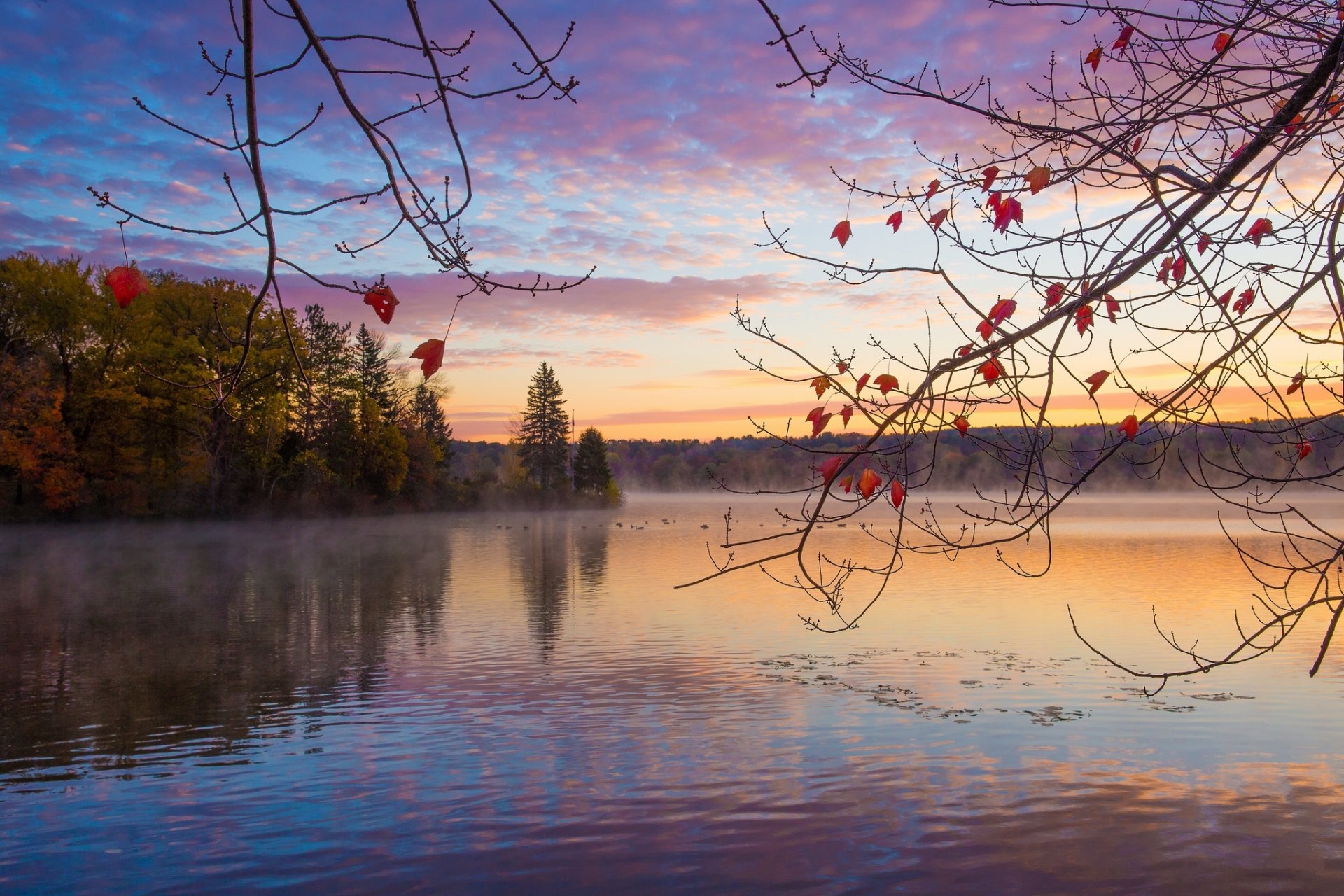 otoño bosque lago mañana amanecer