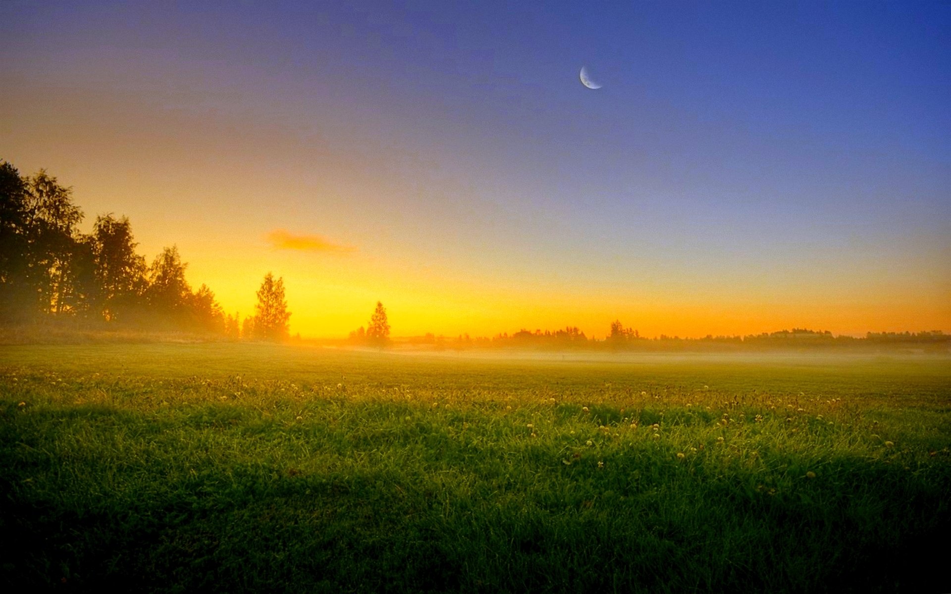 abend feld nebel natur