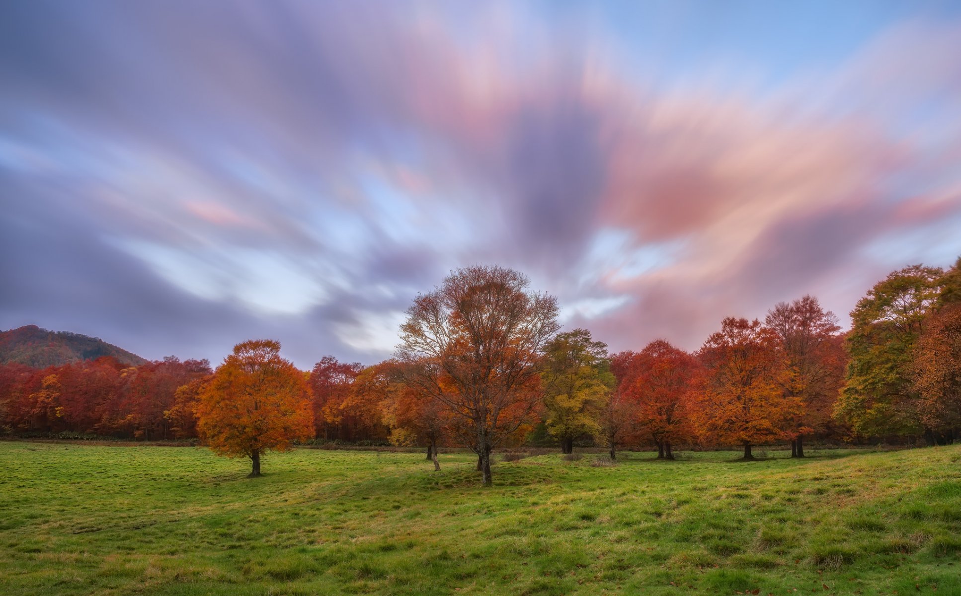 autunno radura erba alberi cielo nuvole