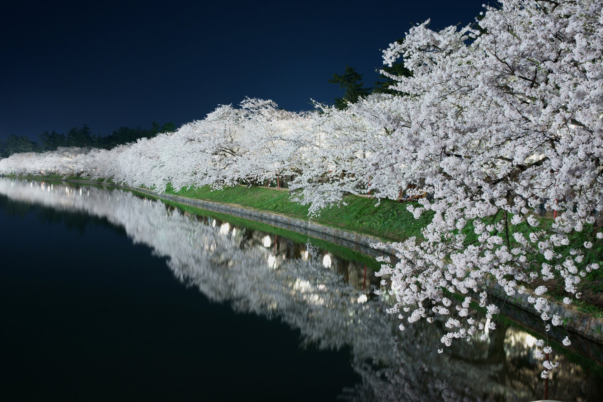 nuit lumière jardin printemps floraison canal étang