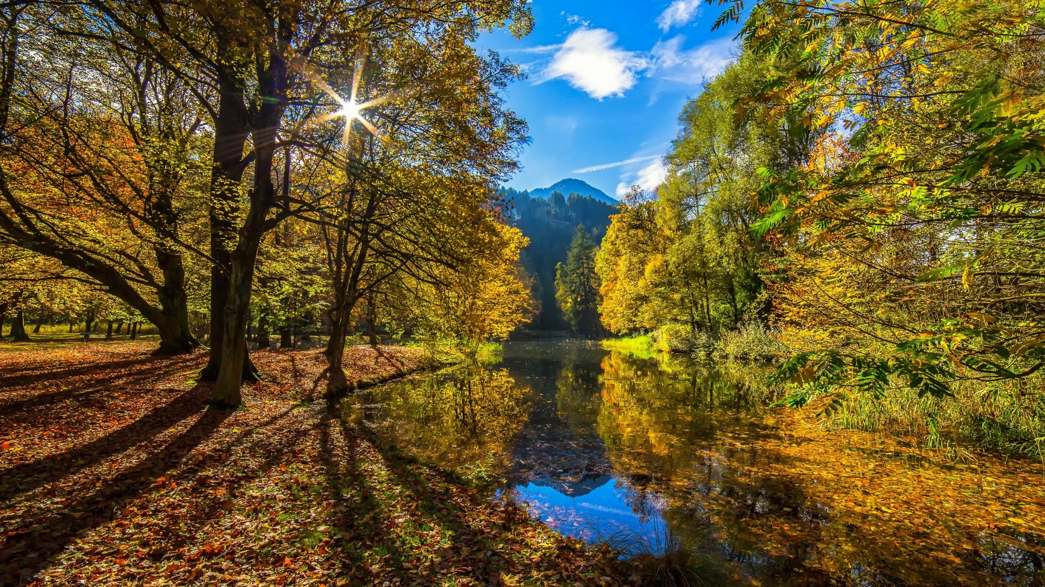 sole autunnale autunno sole foresta fiume