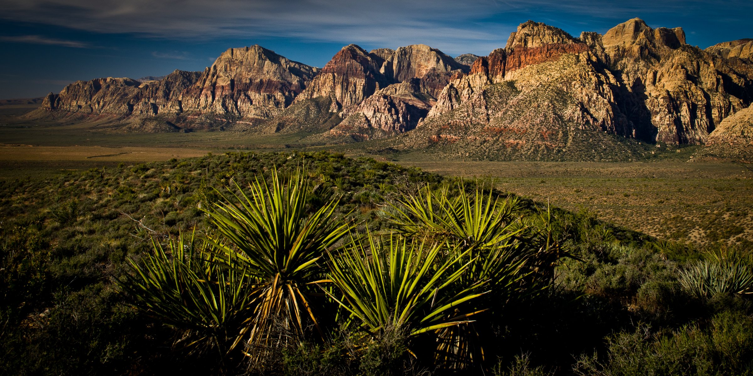 yucca wüste las vegas red rock canyon canyon