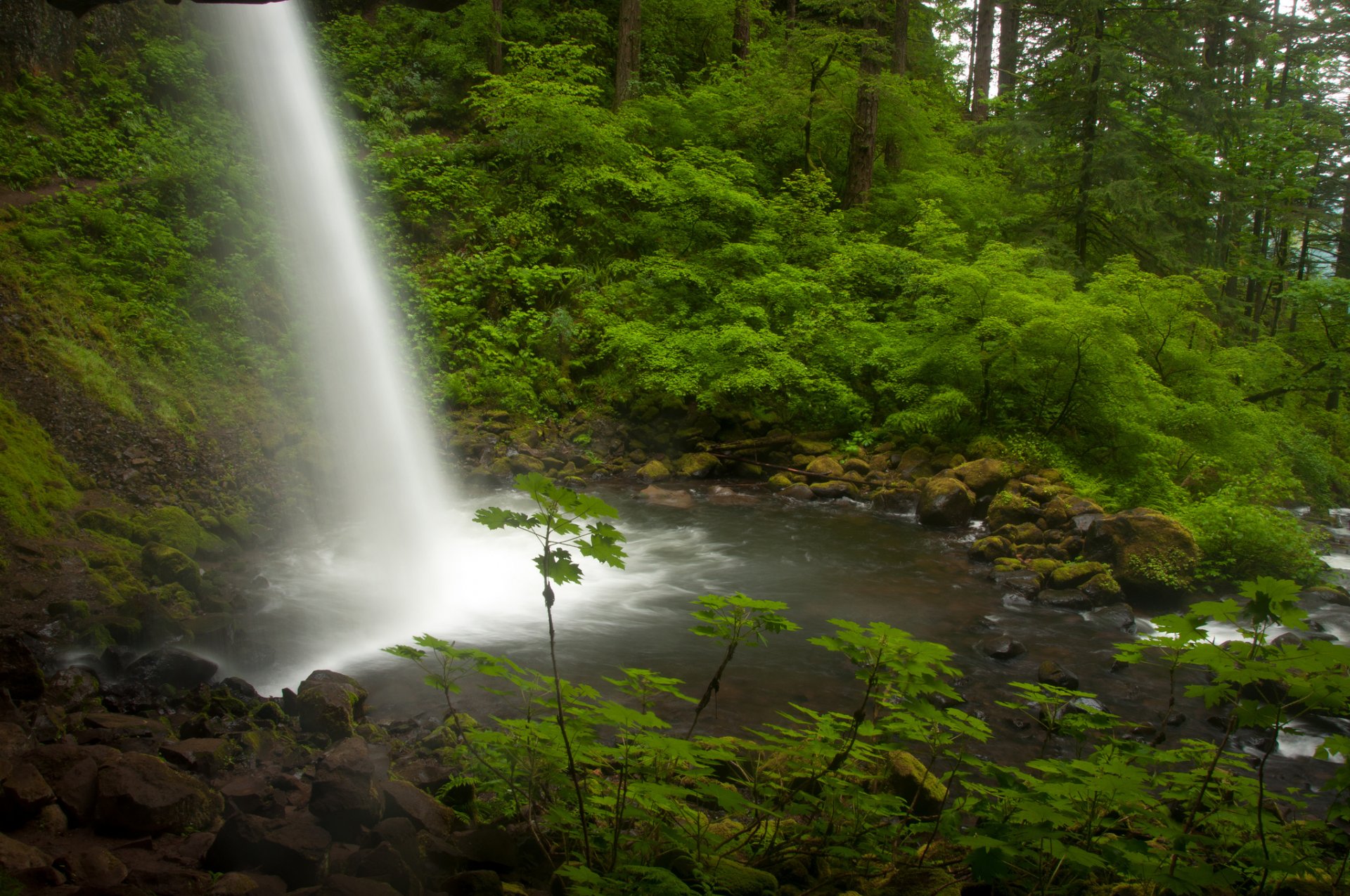 tail falls columbia river oregon columbia river wasserfall stream wald