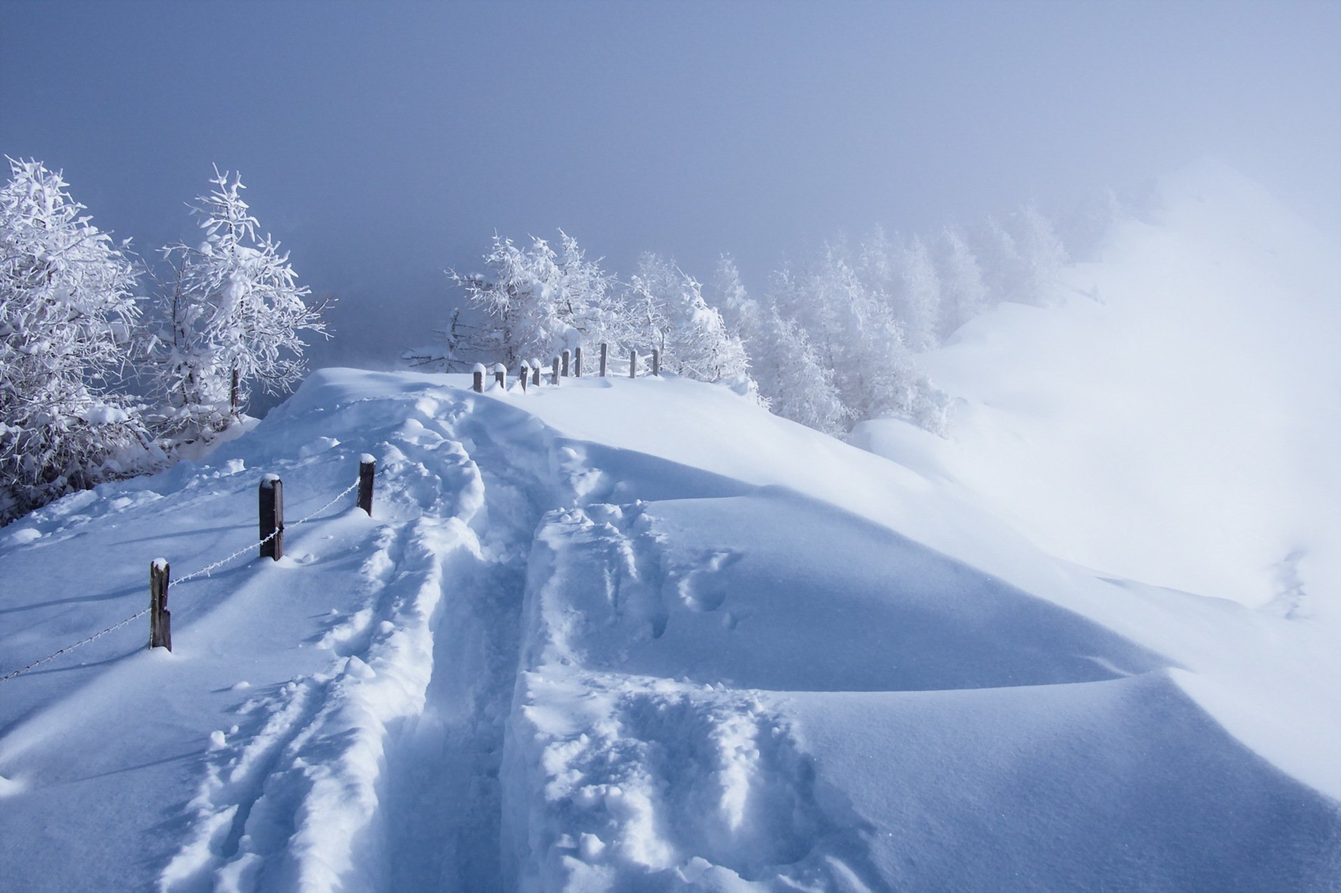 inverno neve recinzione nebbia