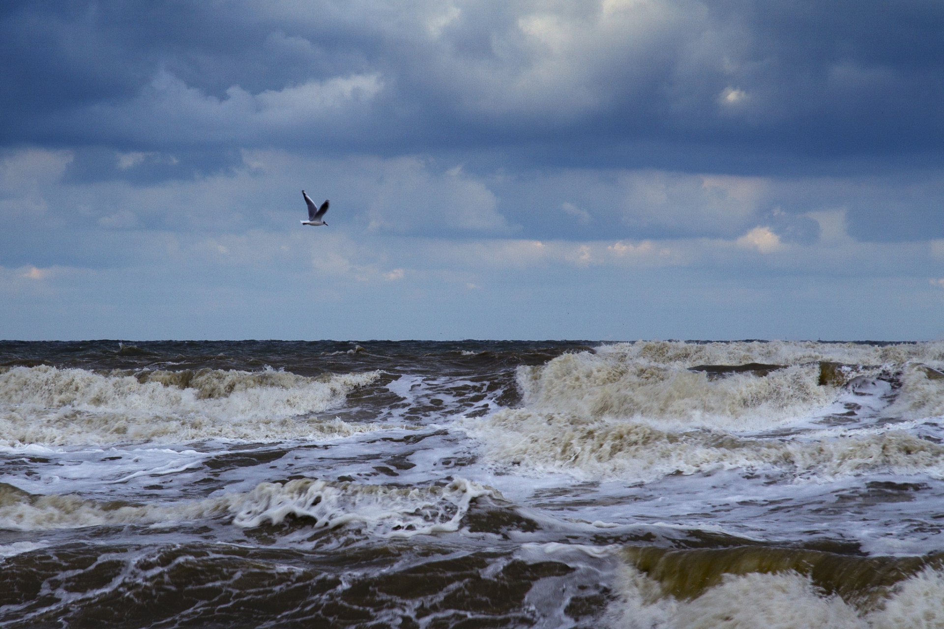 mare onde schiuma nuvole gabbiano