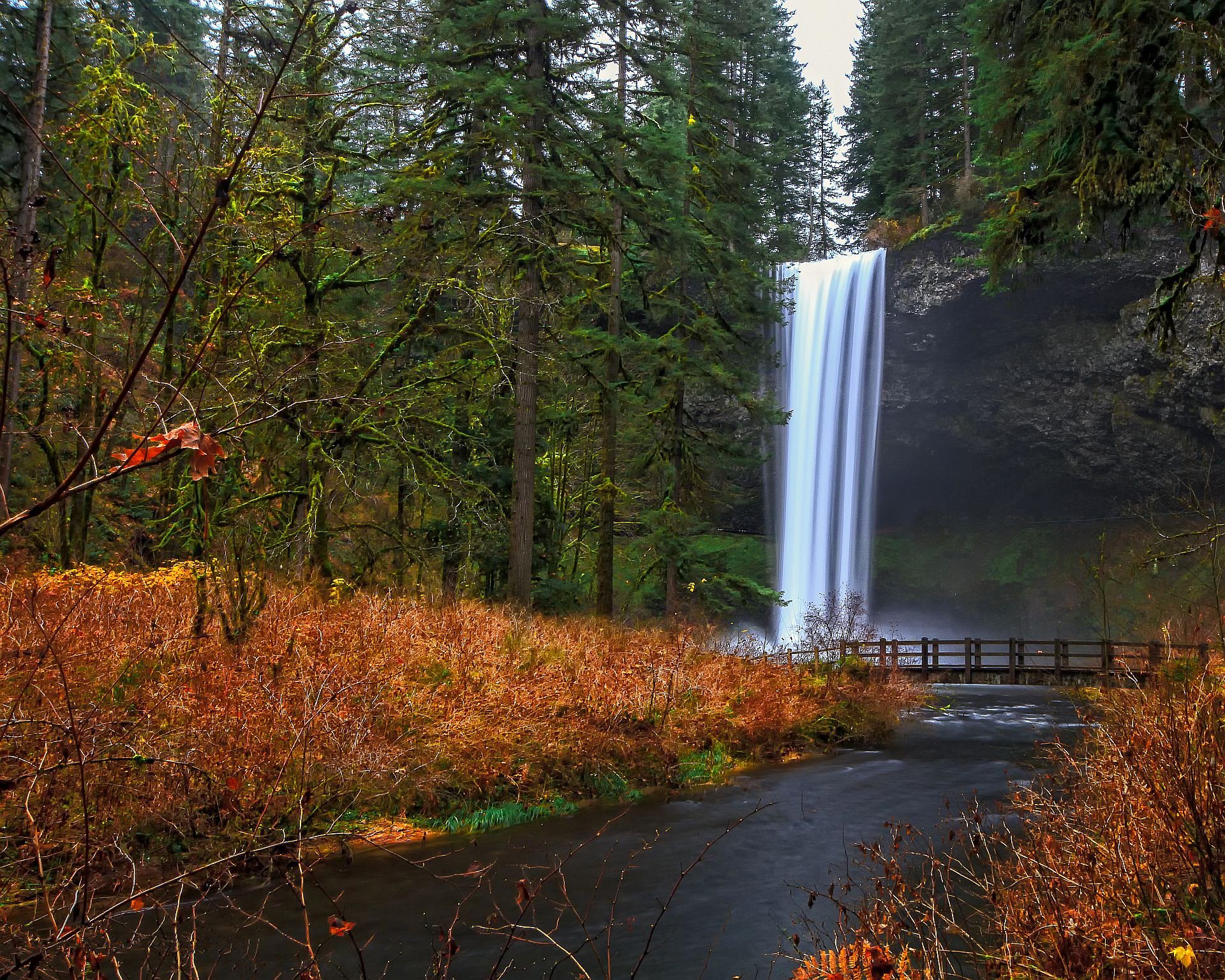 park forest tree autumn rock waterfall river bridge