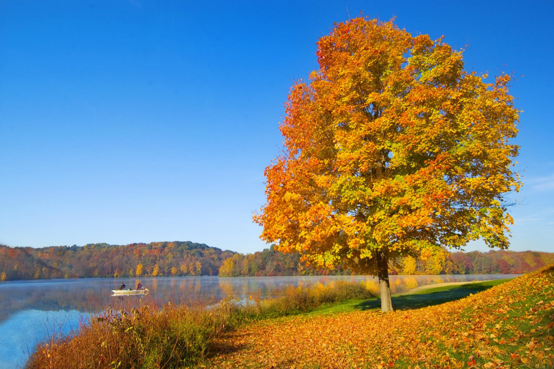 cielo fiume barca colline autunno albero fogliame silenzio umore