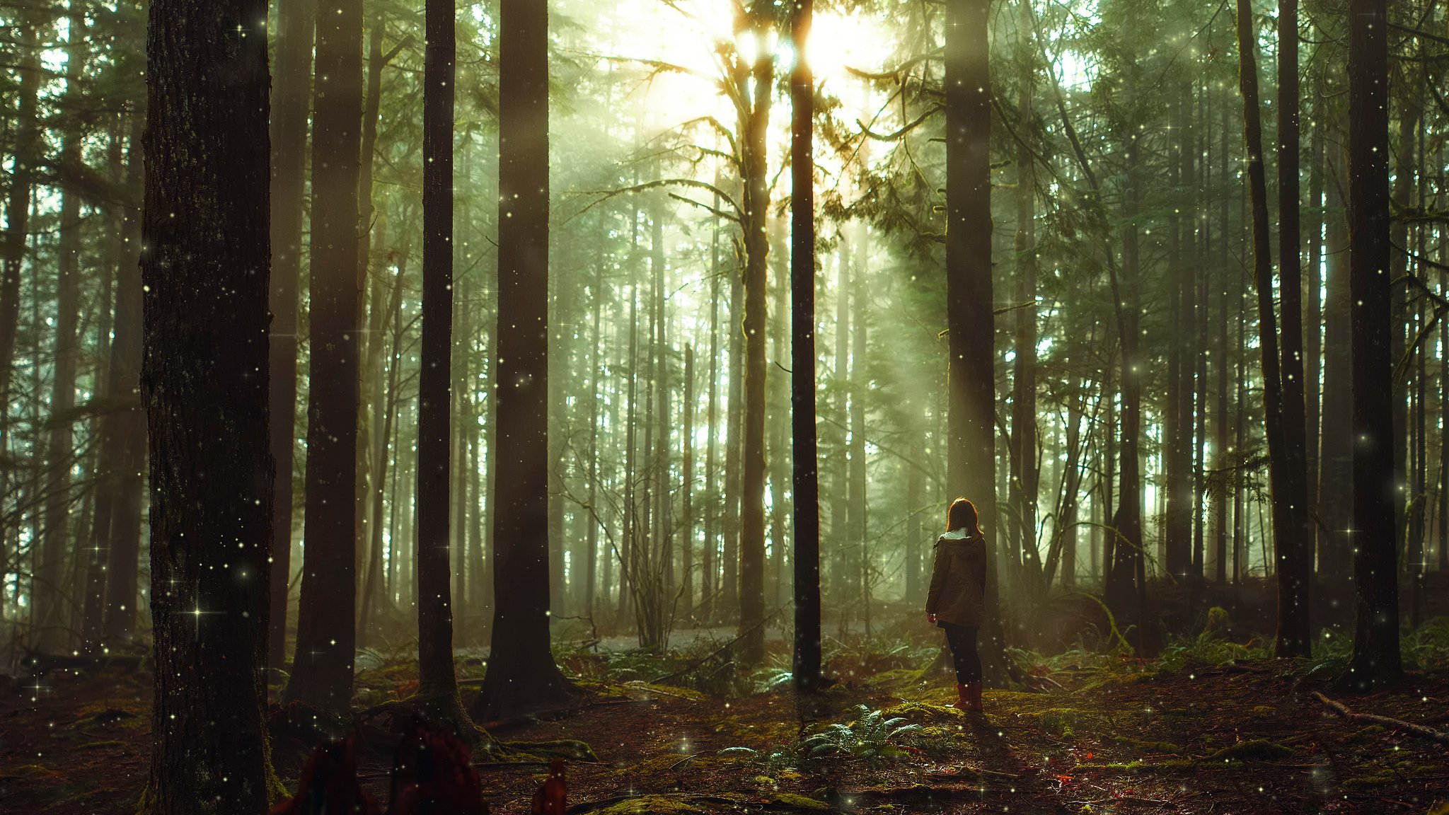 foresta delle fate alberi raggi ragazza arte