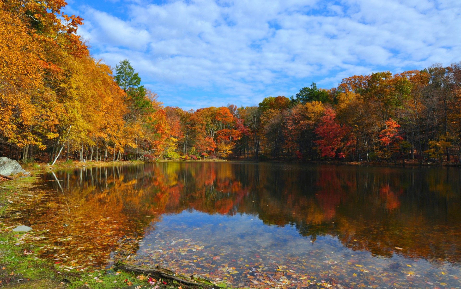 cielo nubes lago bosque otoño árboles