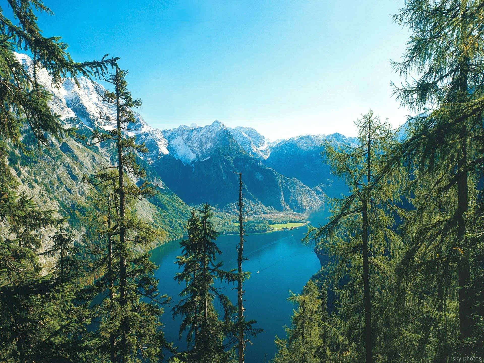 natura foresta paesaggio lago estate cielo