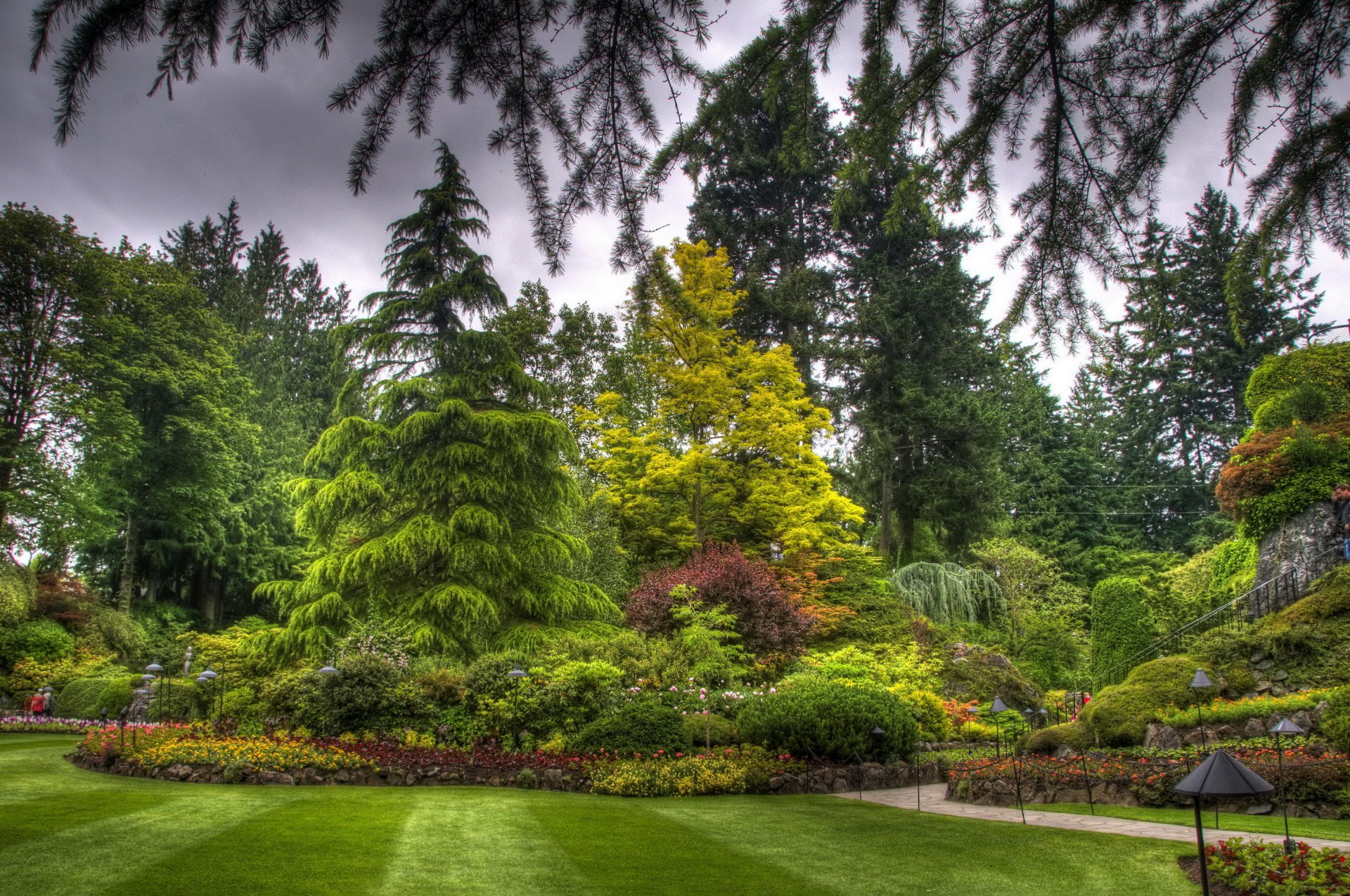 butchart victoria canada landscape park tree grass turf flower bed