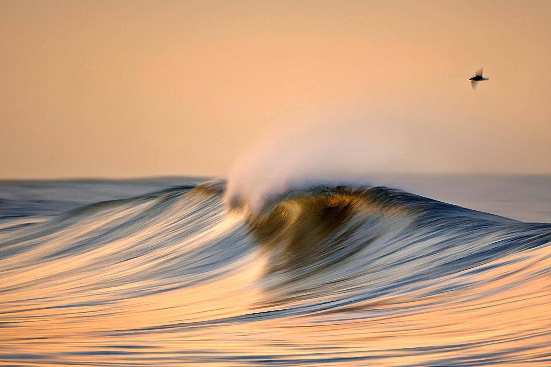 niebo morze ocean fala grzebień ptak