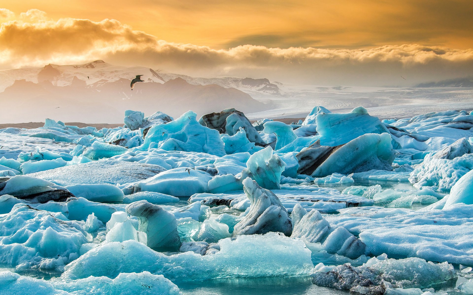 islandia jökulsárlón jökulsaurlón laguna glacial lago témpanos de hielo hielo nieve puesta de sol cielo pájaro naturaleza