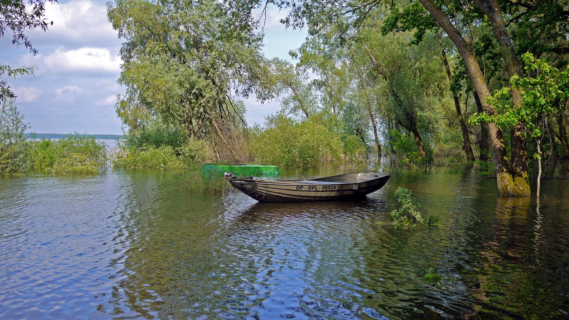 небо река лодка разлив половодье деревья