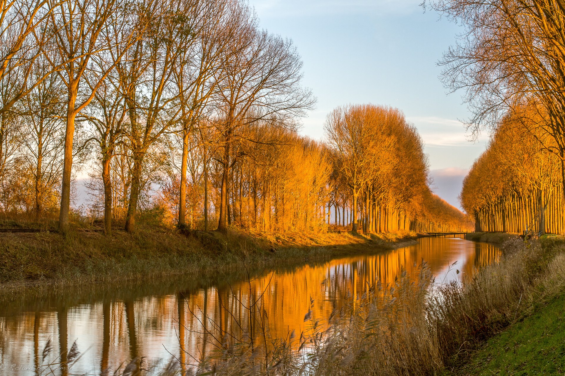 naturaleza canal árboles luz