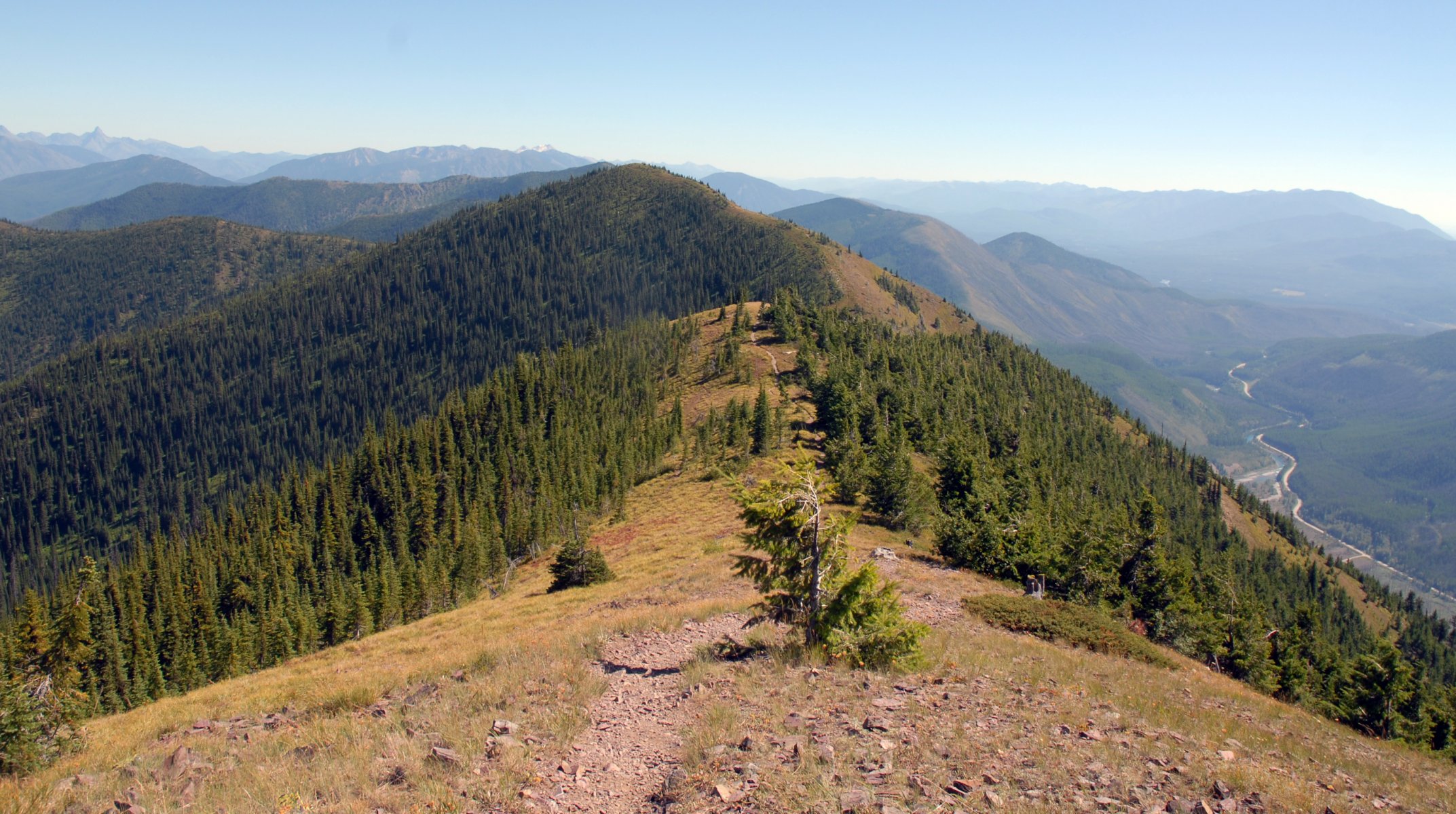 montagnes forêt paysage nature