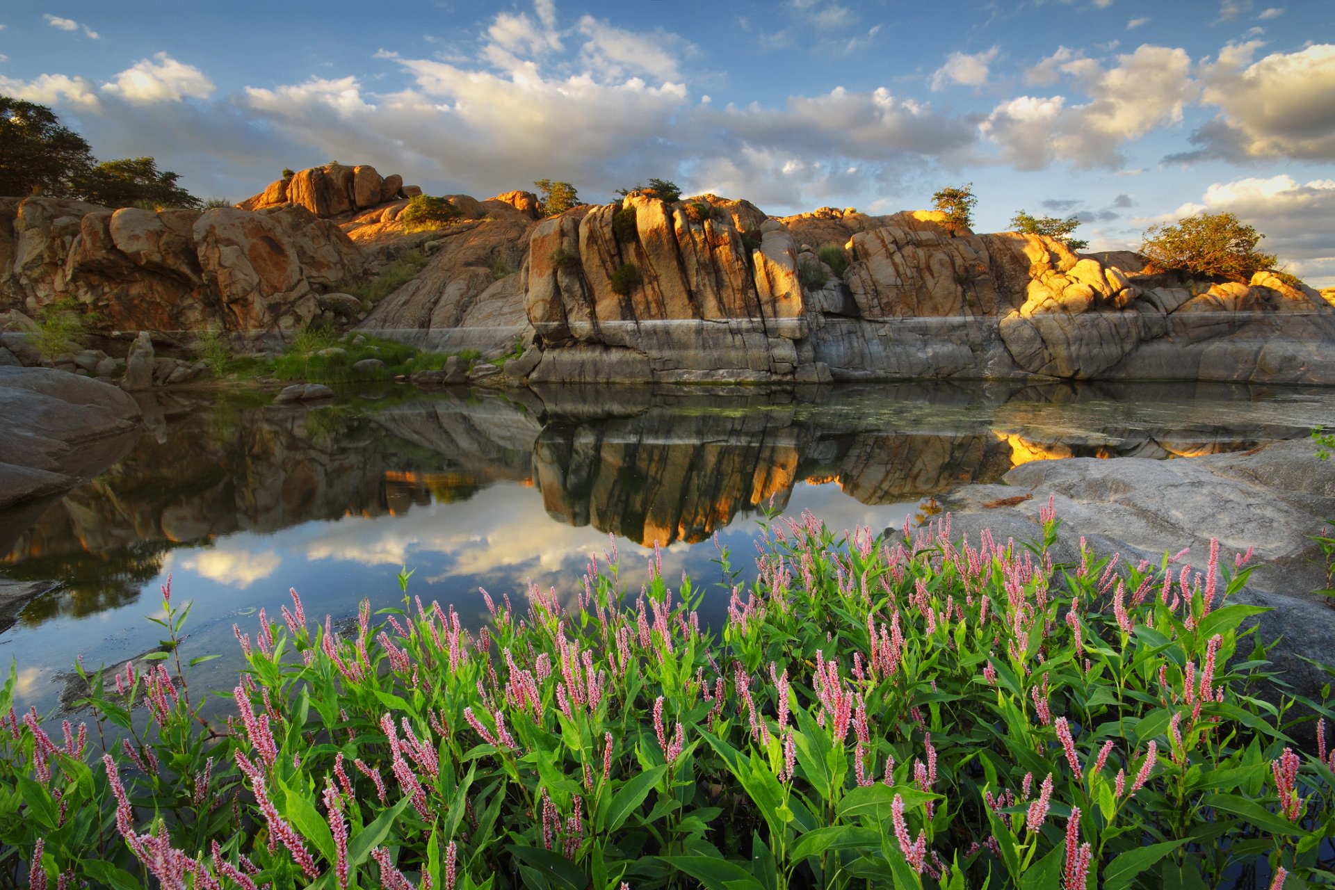 arizona prescott watson lake usa see reflexion blumen felsen wolken