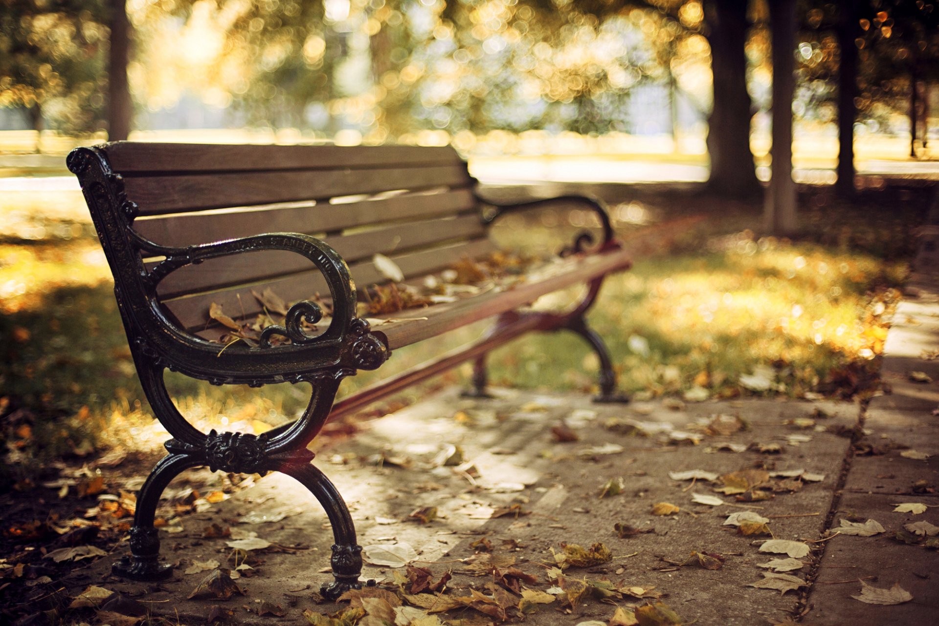 bank bank bank bank bank blätter trocken herbst park bäume natur bokeh