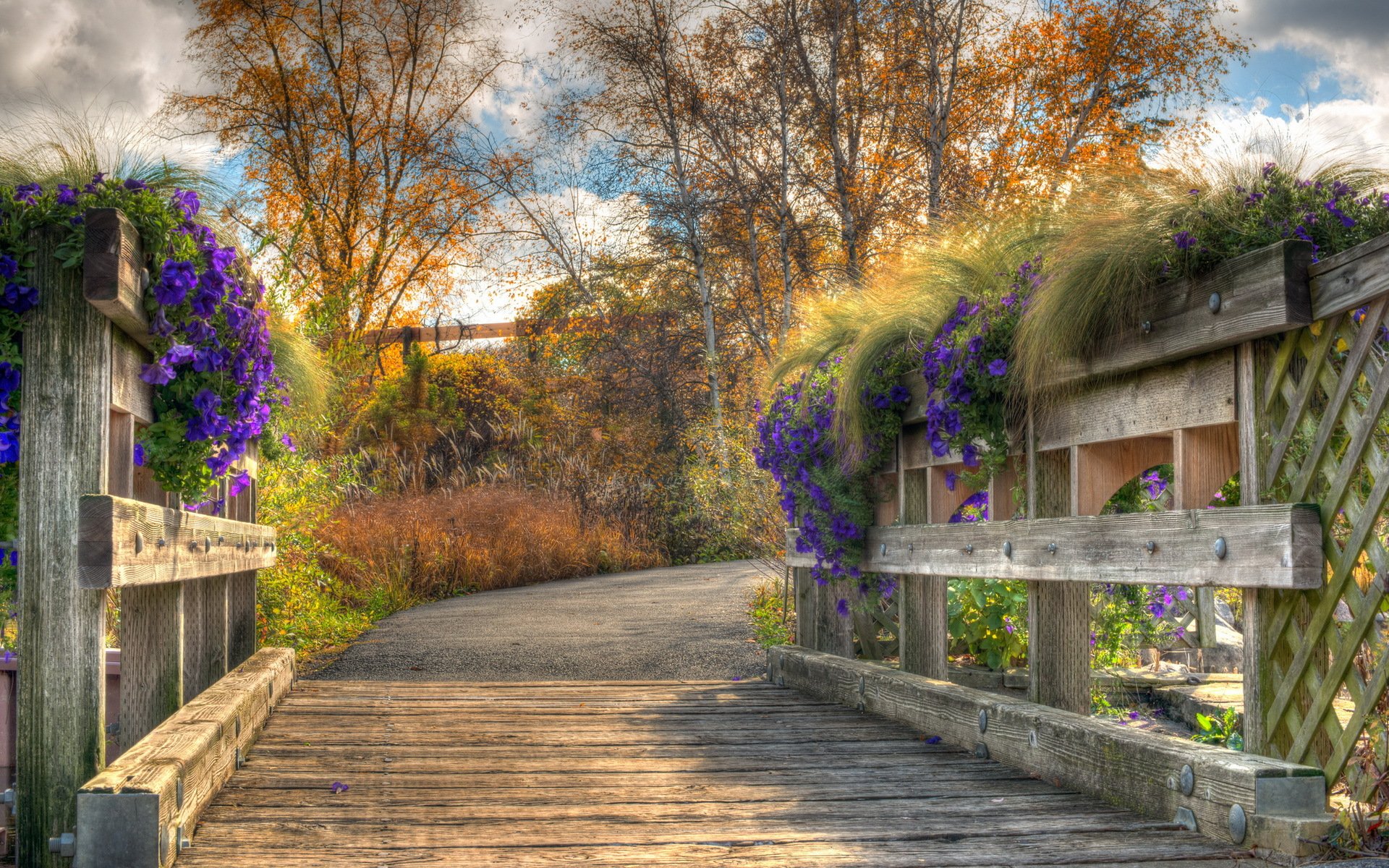 brücke blumen natur