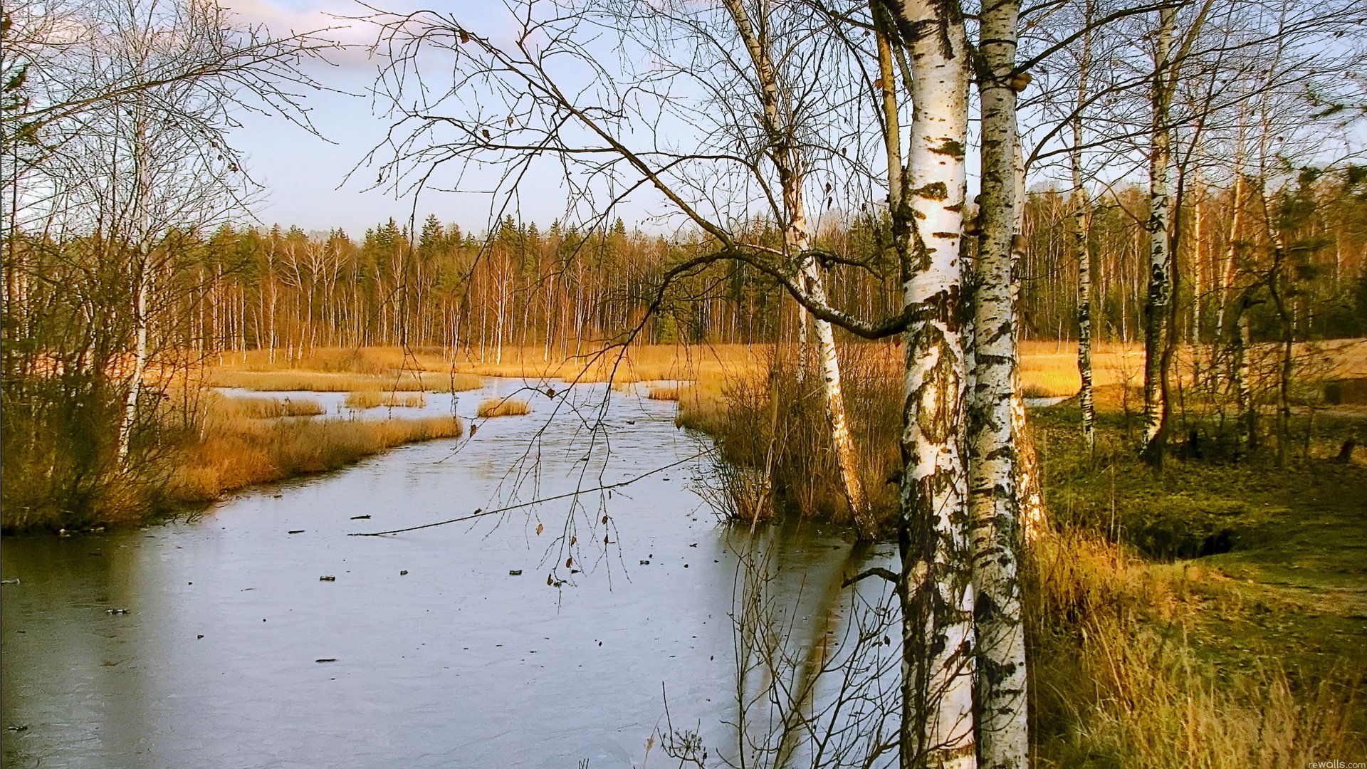 himmel wald bäume birke fluss bach herbst frost eis