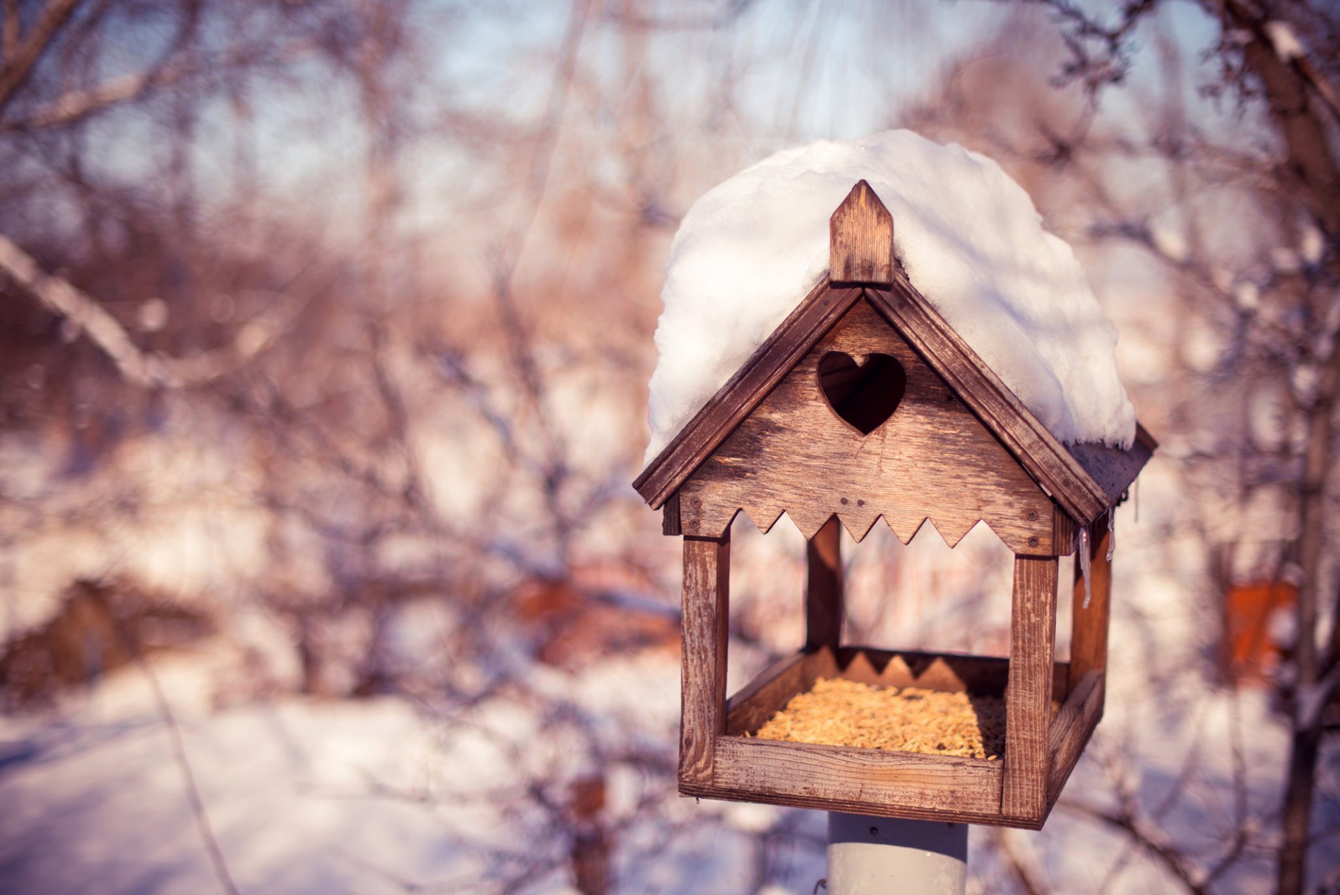 vogelhaus getreide bäume zweige schnee winter natur