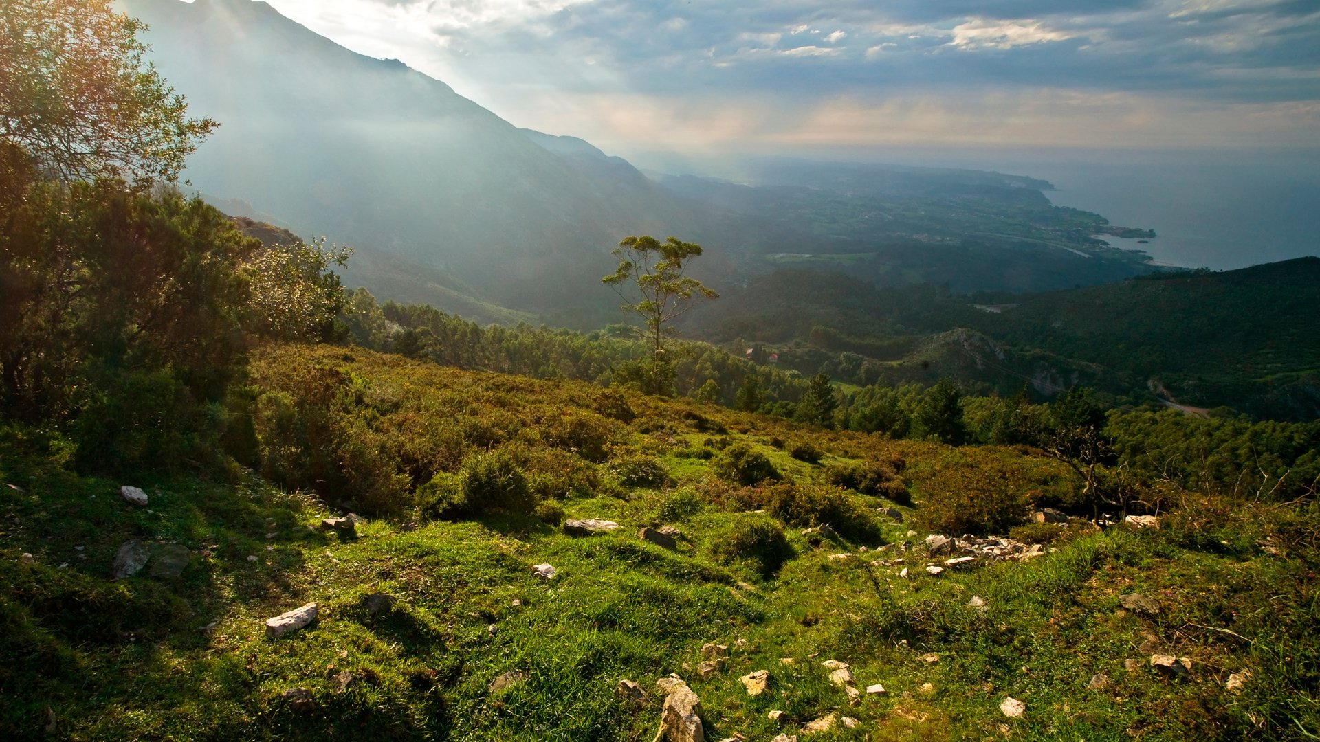 meer berge morgen natur