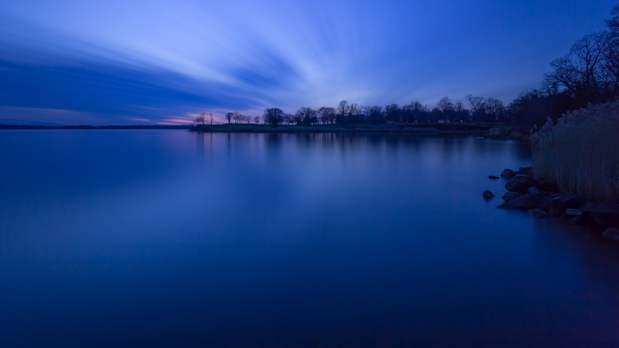 foresta alberi riva lago sera crepuscolo tramonto blu cielo