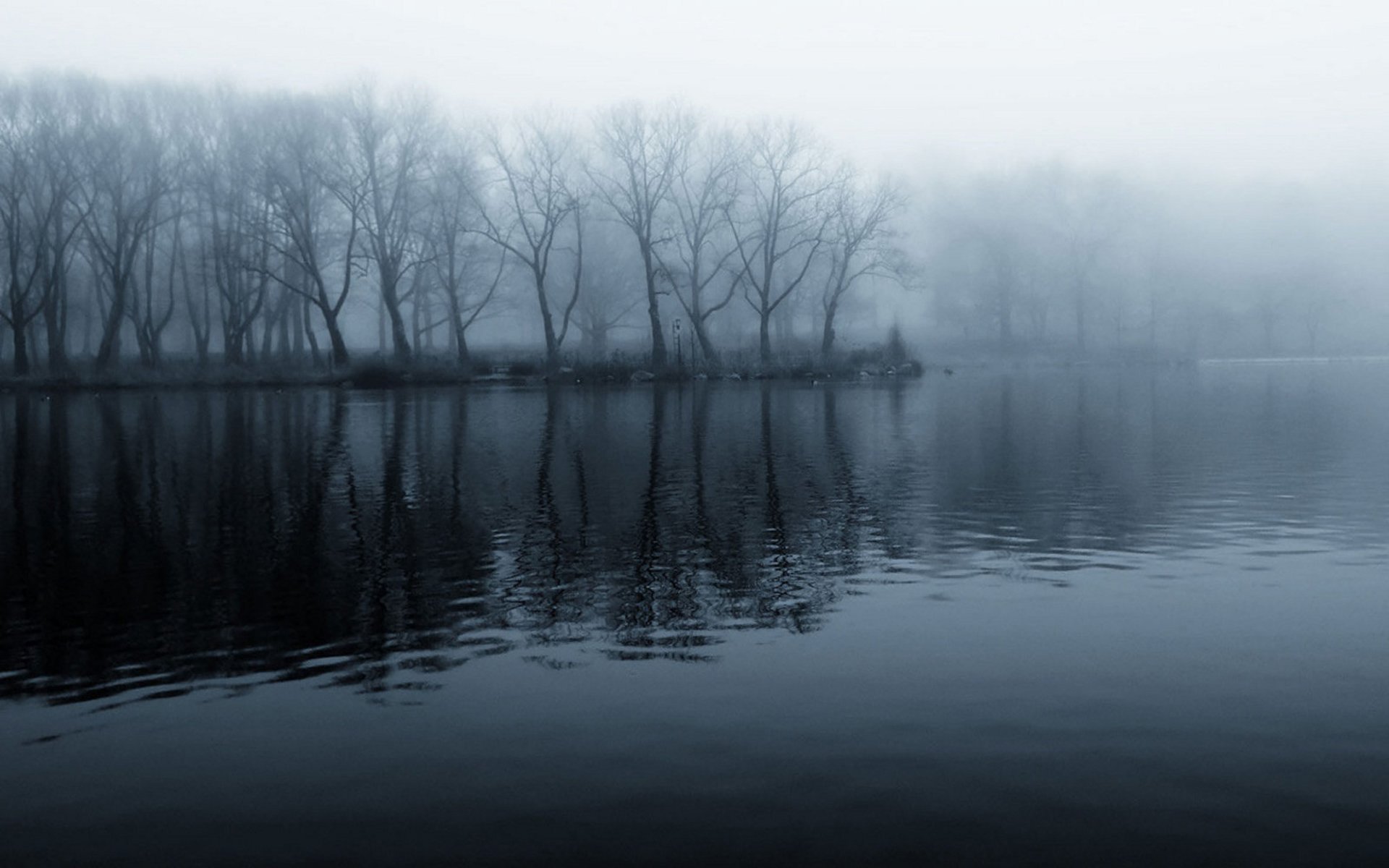 noir et blanc eau forêt mystique