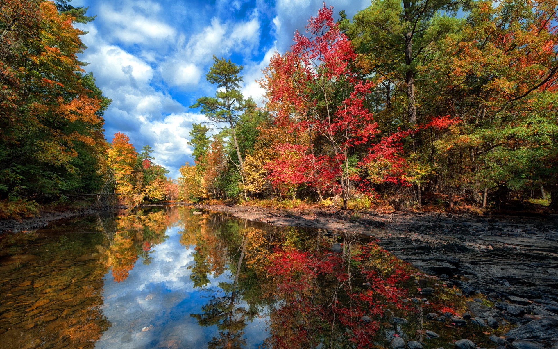 ky clouds forest tree lake autumn water reflection landscape