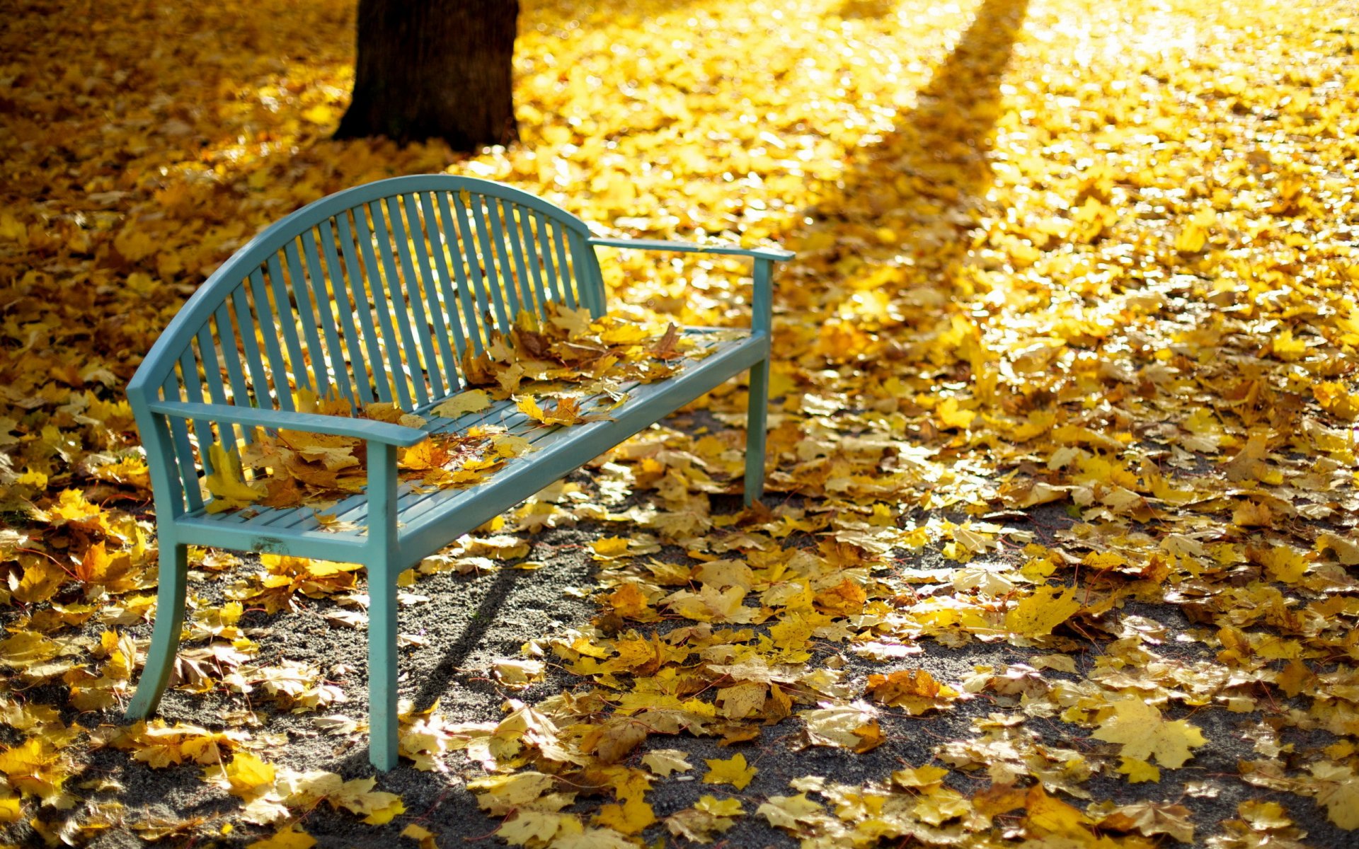 park ławka liście jesień