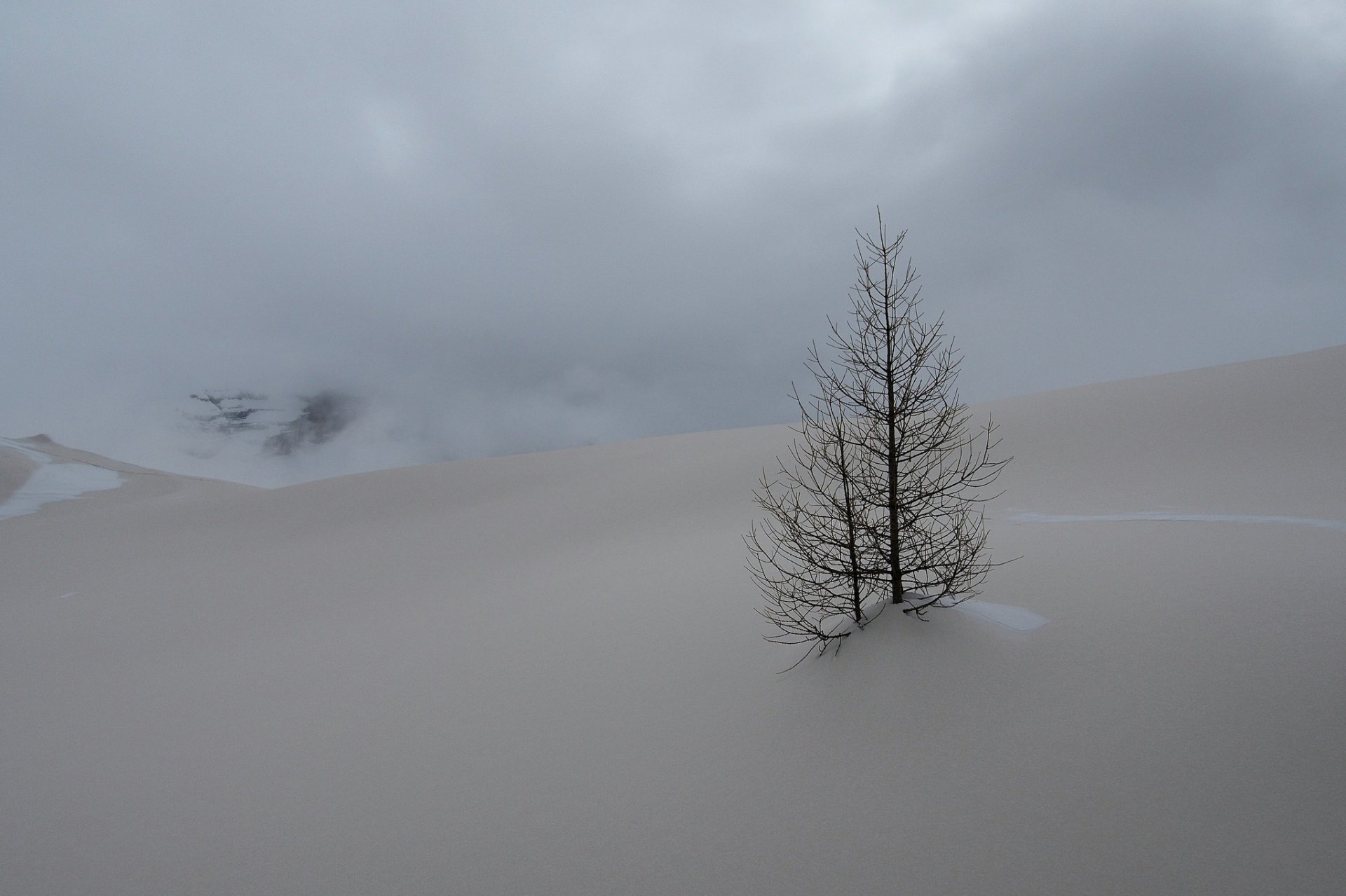 cielo nuvole montagne neve inverno albero