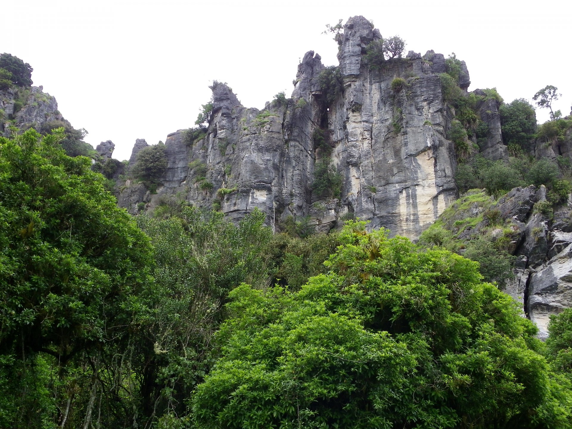 mangaotaki neuseeland himmel berge wald bäume