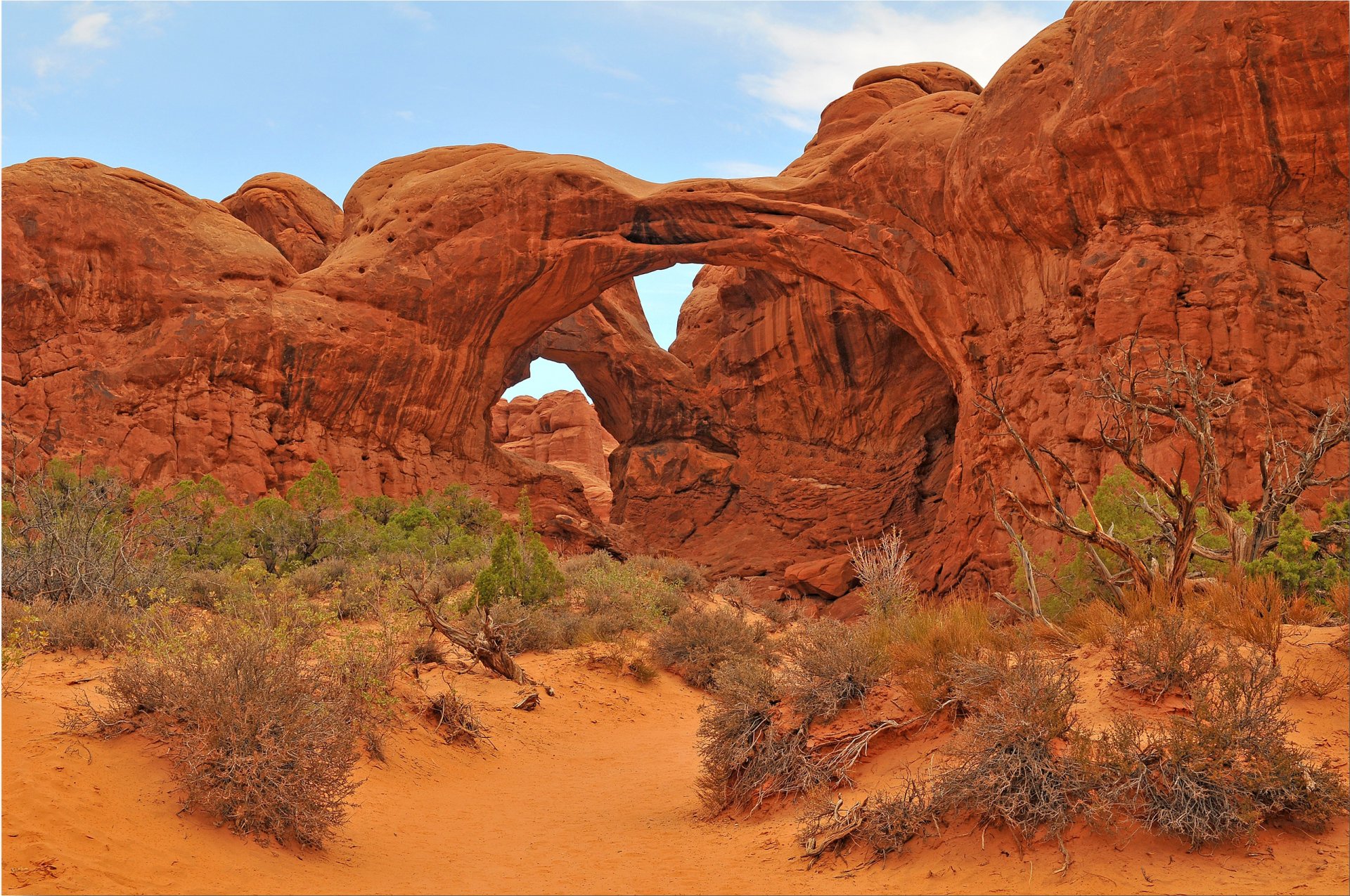 arches national park usa rocks arch sky trees bushe