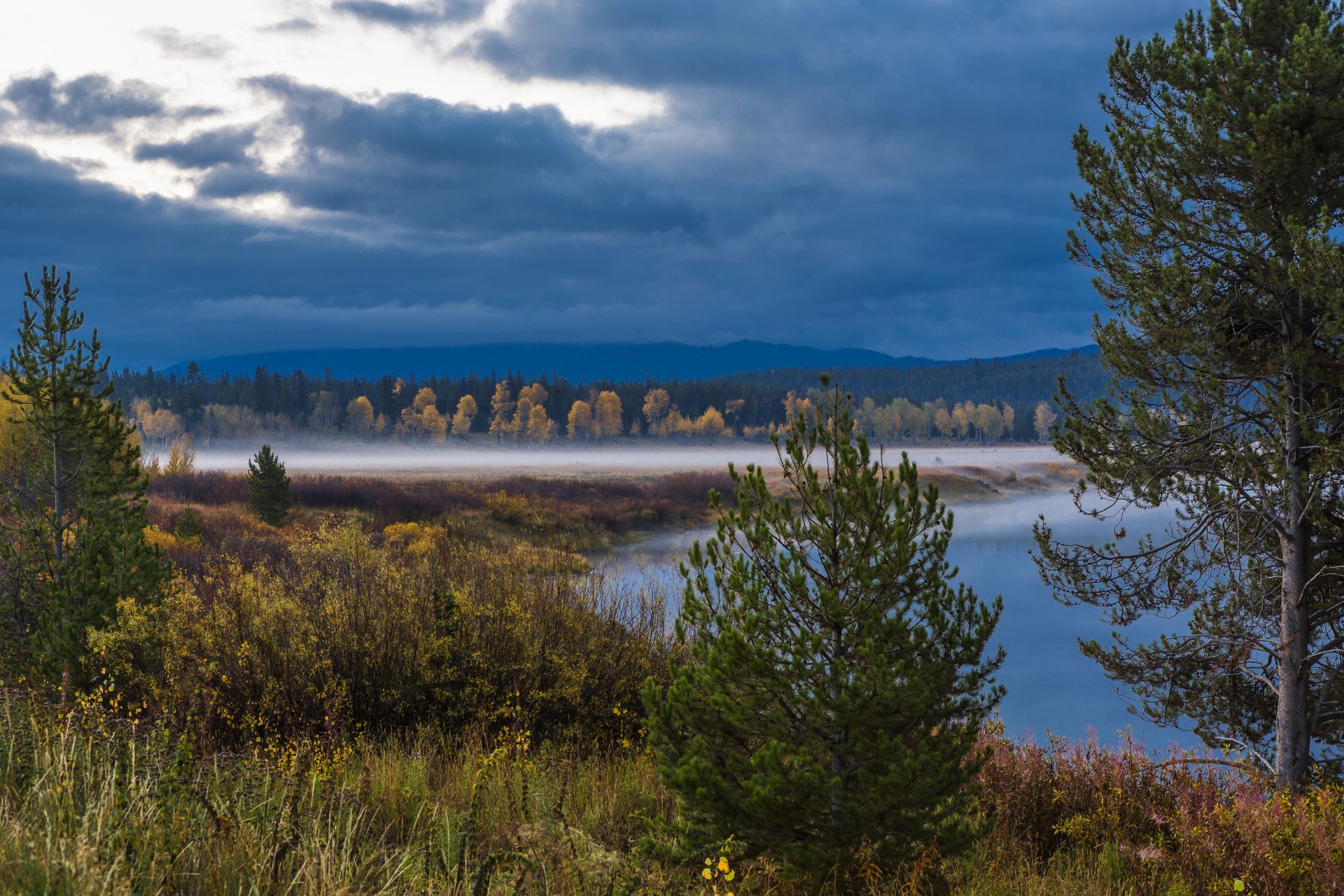 stany zjednoczone stan wyoming park narodowy grand teton grand teton wyoming las krzewy mgła jezioro drzewa chmury