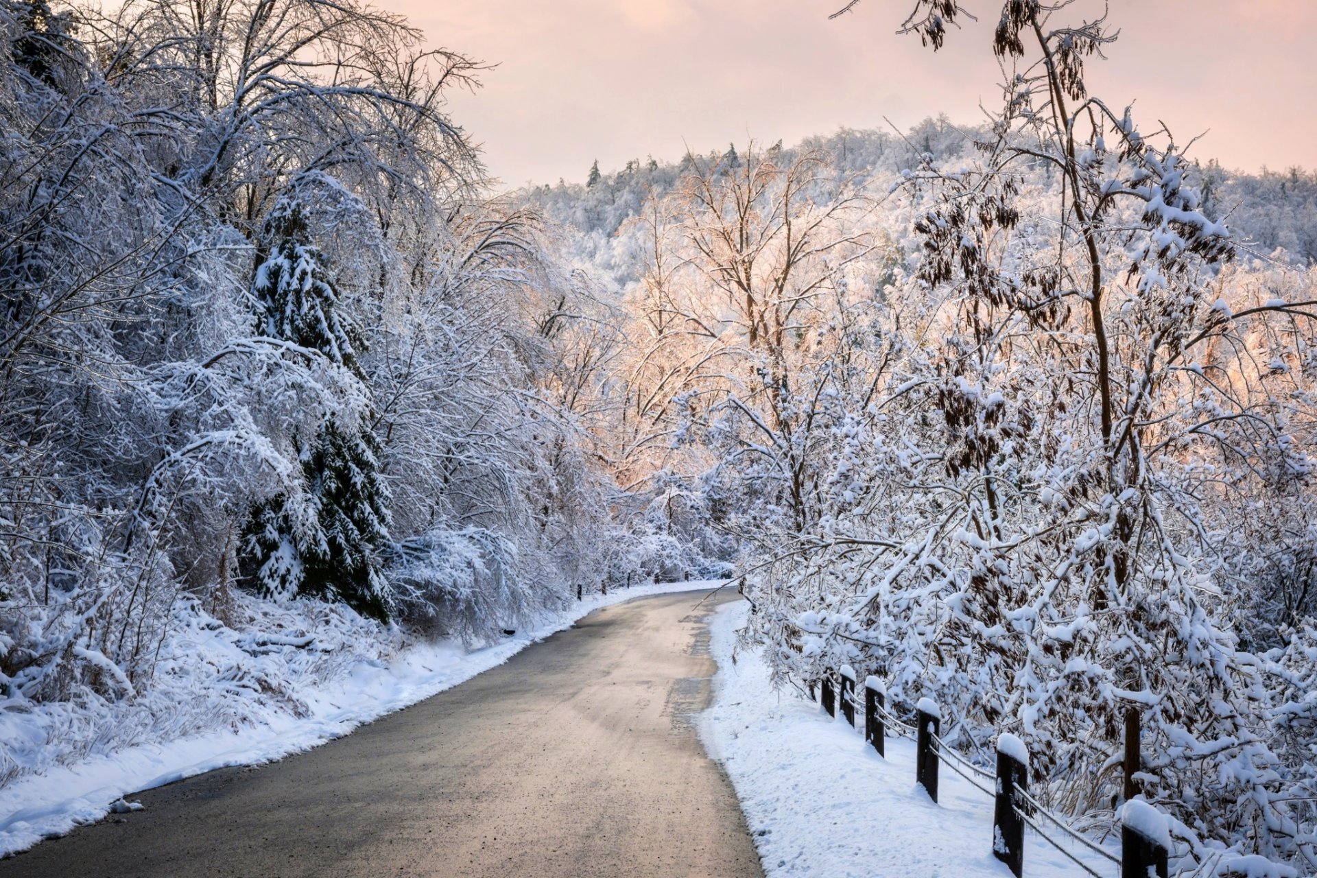 natura inverno neve strada alberi foresta cielo paesaggio inverno bianco fresco bello tramonto