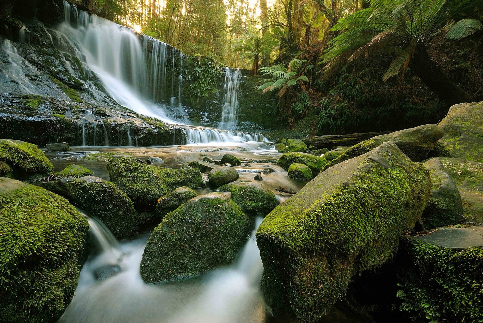 wasserfall steine moos felsen bäume natur wald