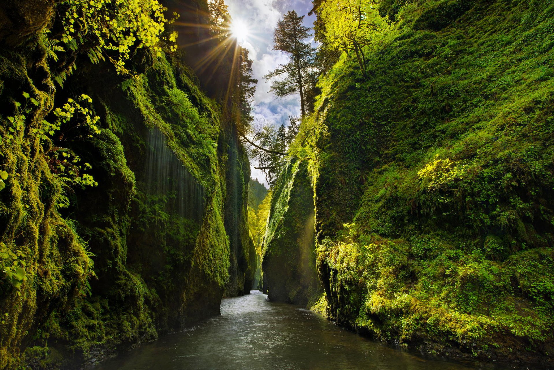 usa stan oregon kanion rzeka klify zbocza mech drzewa zieleń niebo światło słońce promienie