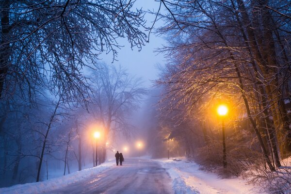 Gemeinsam auf dem Winterweg nach Hause