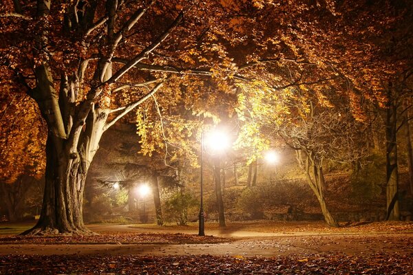 Strada nel parco autunnale illuminata da lanterne