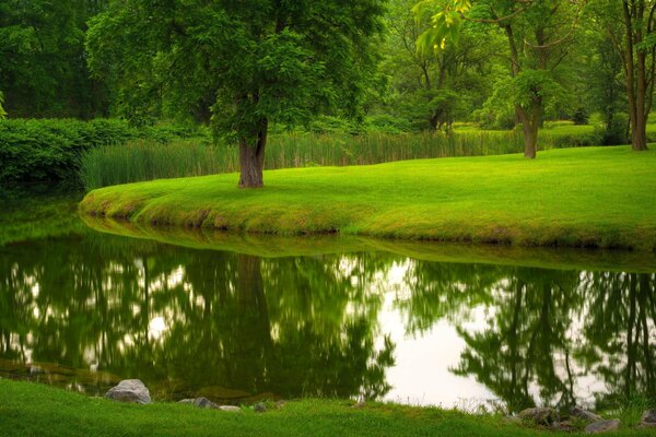 Sommer Natur im Park mit Fluss und Bäumen. Gras Rasen