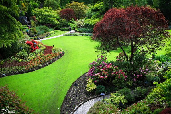 Romantic walk on the green lawn