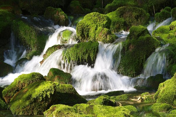 Waterfall cascade at the green moss