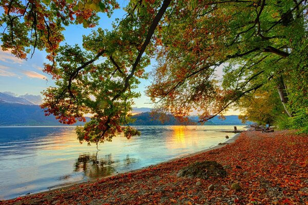 Riva autunnale del fiume. Montagne all orizzonte