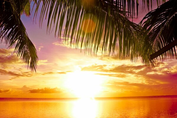 Sunset on the sea in a tropical paradise