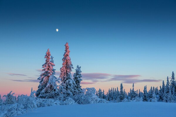 Mond-, Winterhimmel