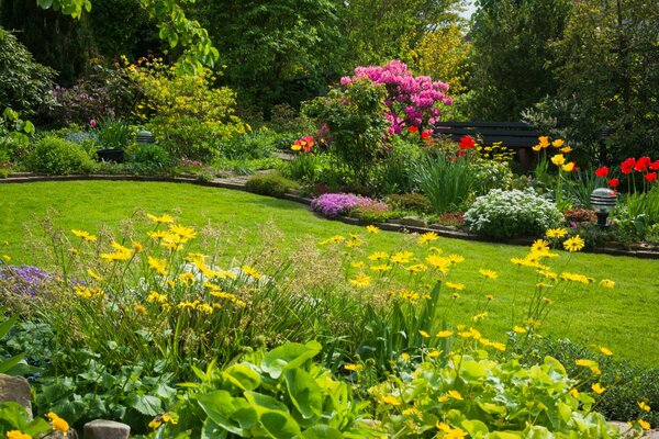 Parterre brillante con flores rojas y amarillas