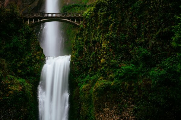 Waterfall under the bridge around the greenery