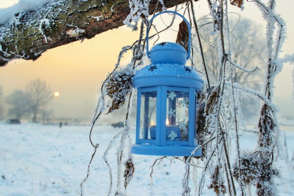 Linterna azul en el árbol de invierno