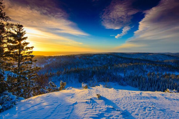 A sunny day in wintering Norway