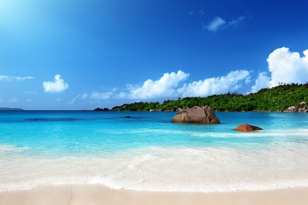 Playa de arena junto al mar